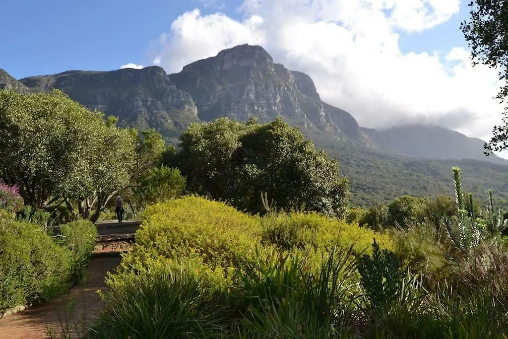 Guest house Kirstenbosch Forest Lodge Cape Town