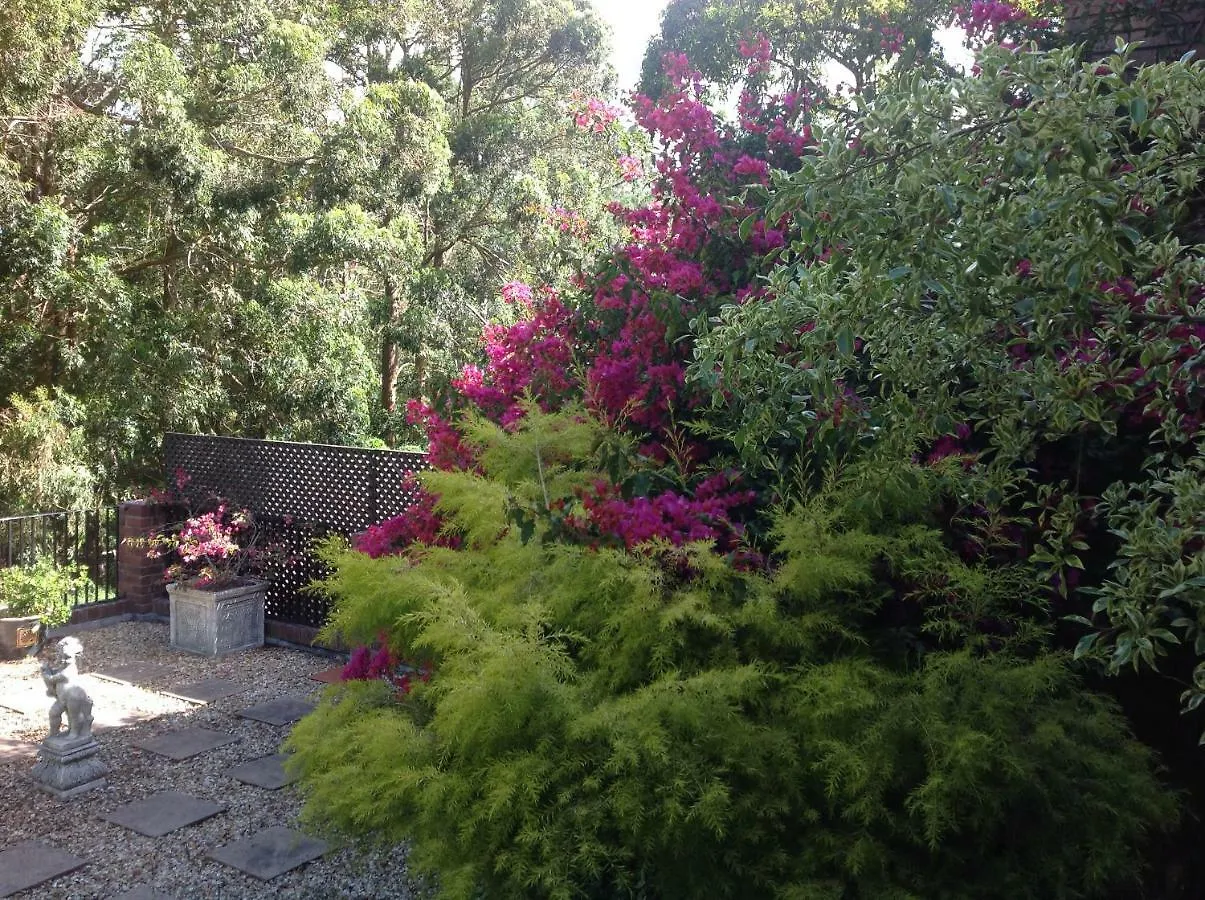 Kirstenbosch Forest Lodge Cape Town Guest house